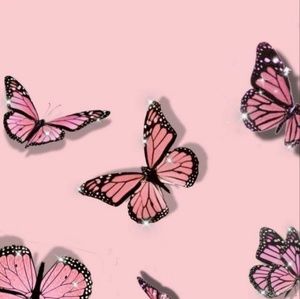 Meet your Posher, Serolf